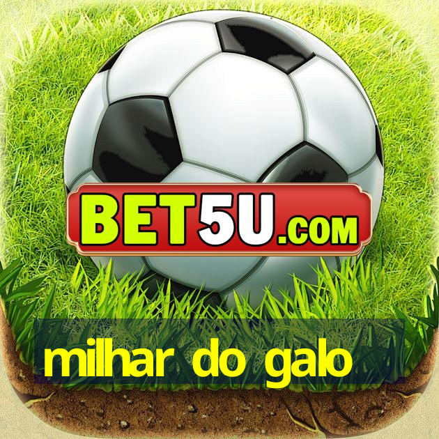 milhar do galo